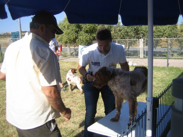 17th National Breed Show